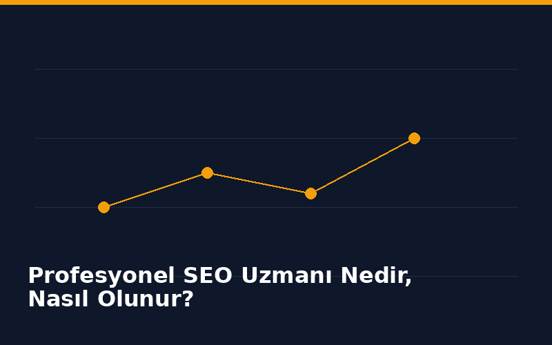 Profesyonel SEO Uzmanı Nedir, Nasıl Olunur? - İçerik Görseli