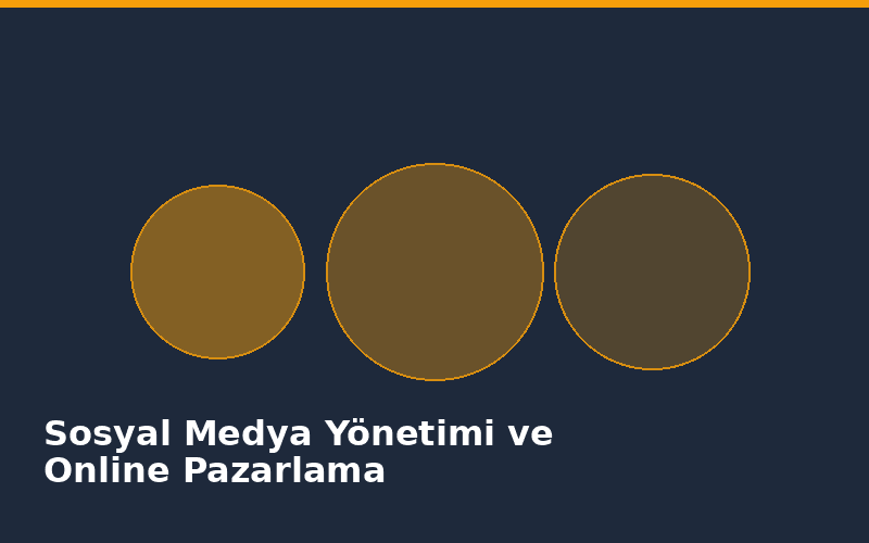 Sosyal Medya Yönetimi ve Online Pazarlama - İçerik Görseli